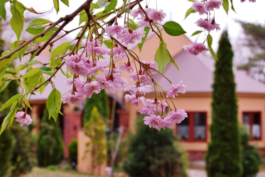 Aromatic Garden Villa La Poltrona Nasu Exterior foto