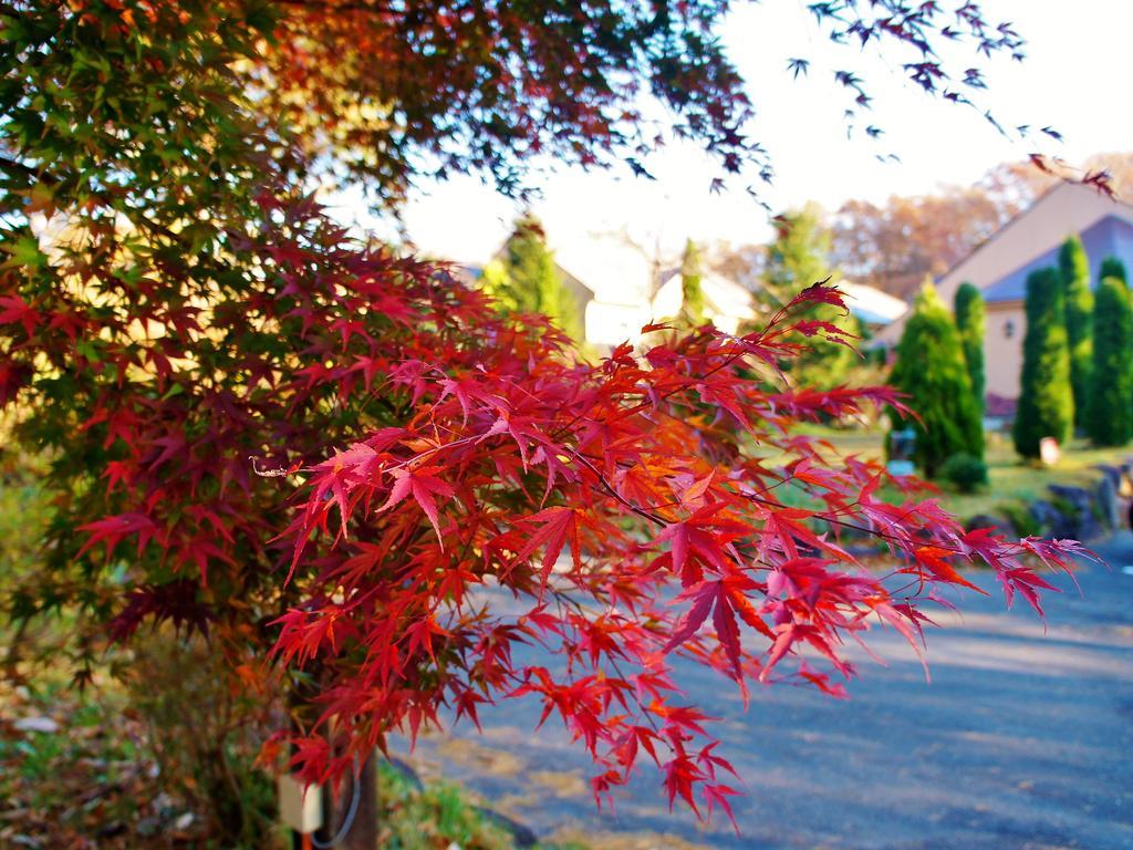 Aromatic Garden Villa La Poltrona Nasu Exterior foto