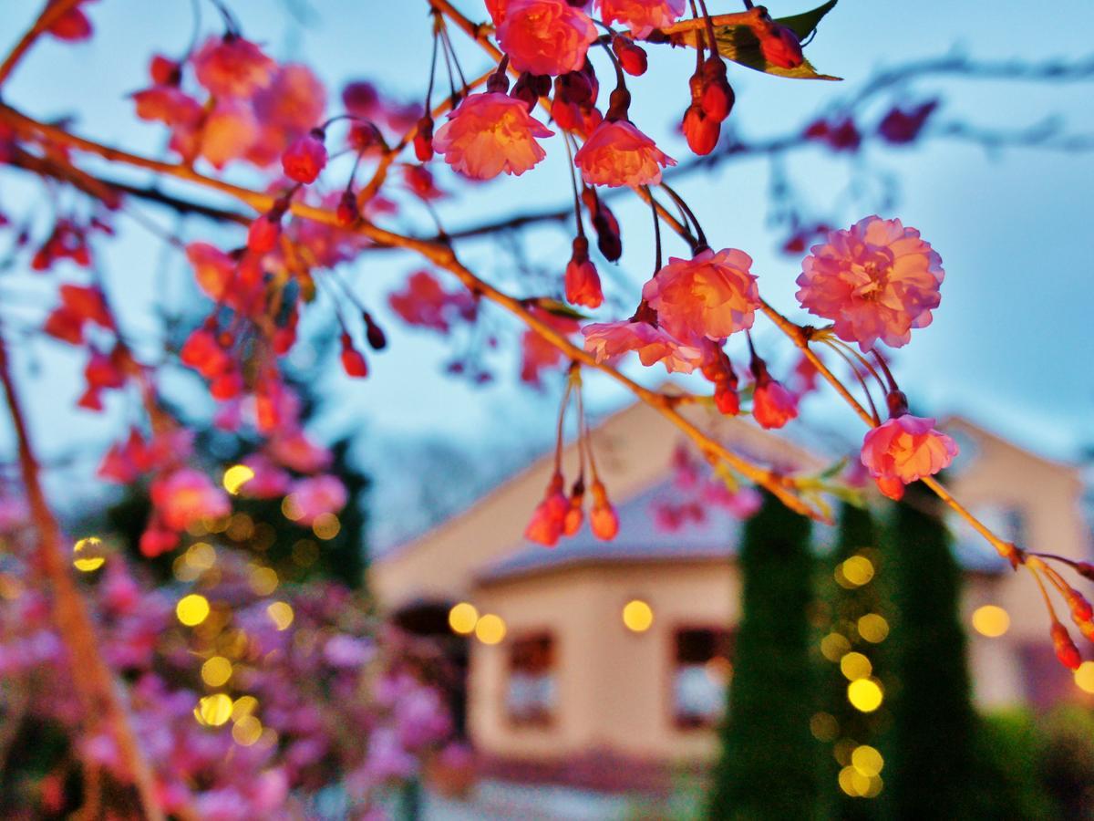 Aromatic Garden Villa La Poltrona Nasu Exterior foto