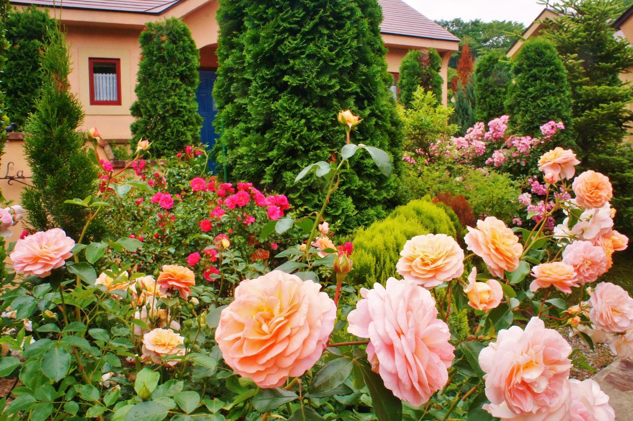 Aromatic Garden Villa La Poltrona Nasu Exterior foto